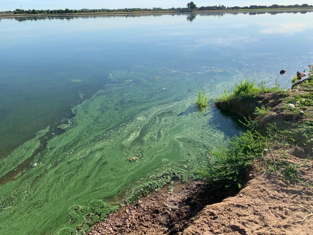 As summer heats up, officials warn of harmful algae...