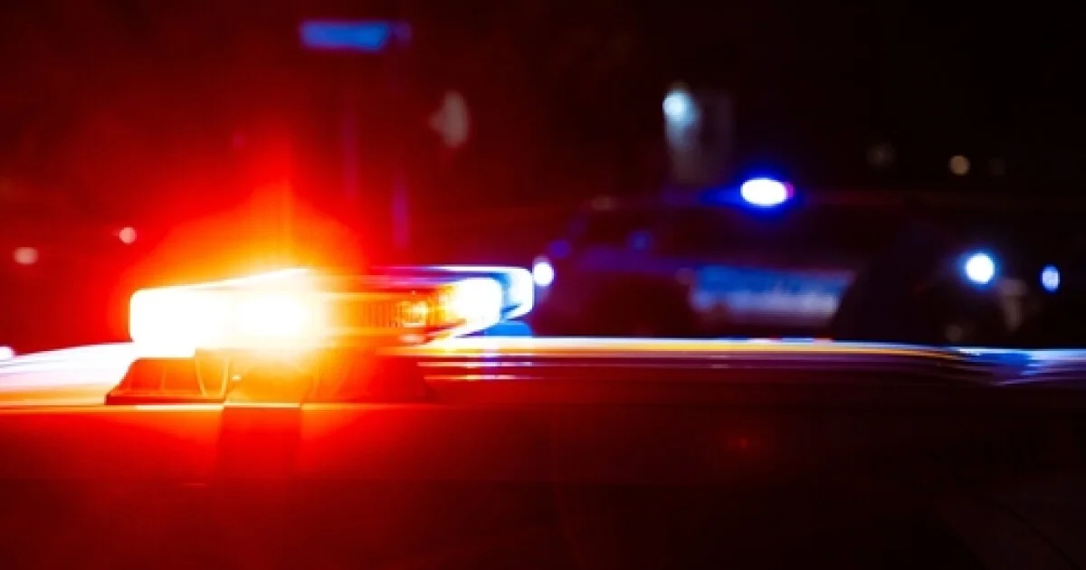 Woman accused of kidnapping after found with missing...