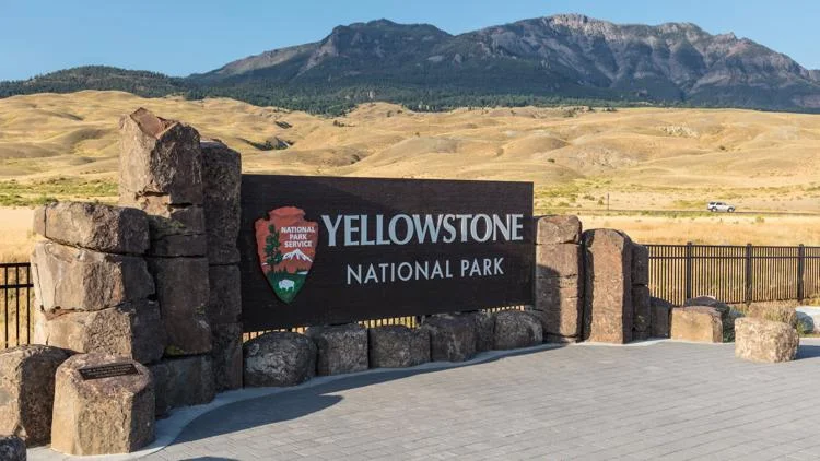 Denver man found dead in Yellowstone Park