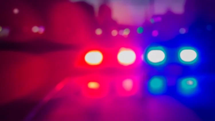 Accelerant used to set fire to multiple trees near...