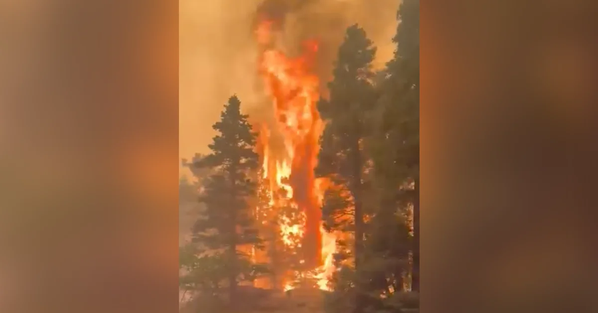 Aspen Acres Fire SW of Pueblo becomes Colorado’s largest...