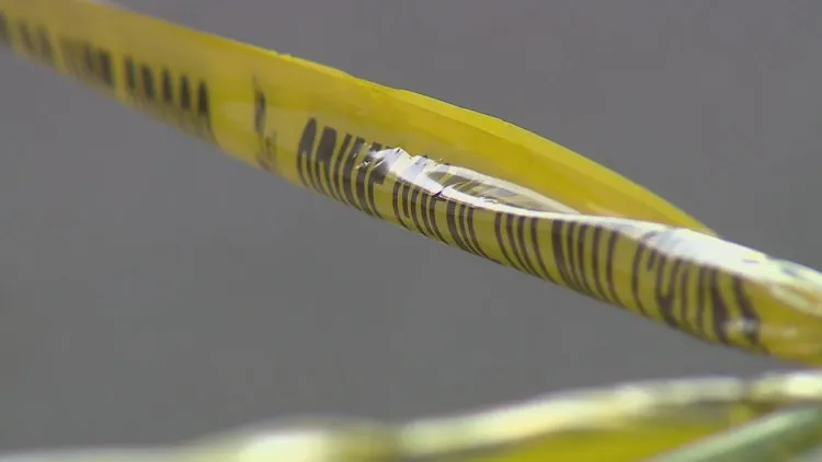 Woman facing murder charges in death of man found in Lone