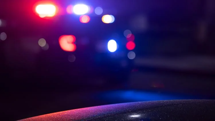 Actor James Handy reportedly stabbed to death by...