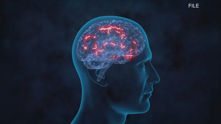 Gene-editing cholesterol away, new Alzheimer's findings