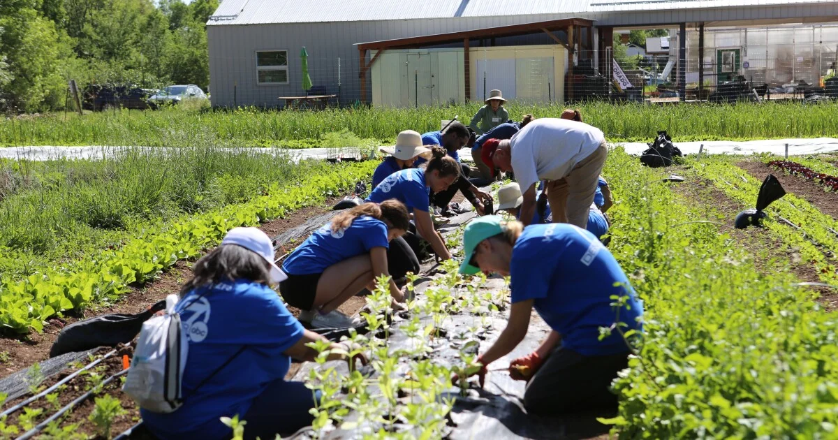 Denver7 Gives: Volunteers help prepare Boulder gardens...