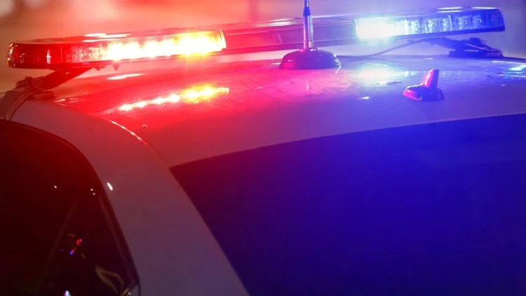 American Airlines flight attendant found dead on Florida...