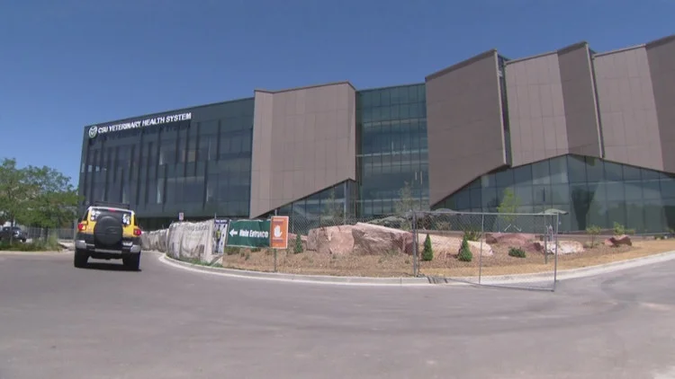Setting the standard: CSU unveils new complex for...