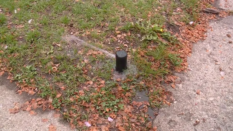 Denver Parks and Recreation rolls out water-wise plan...