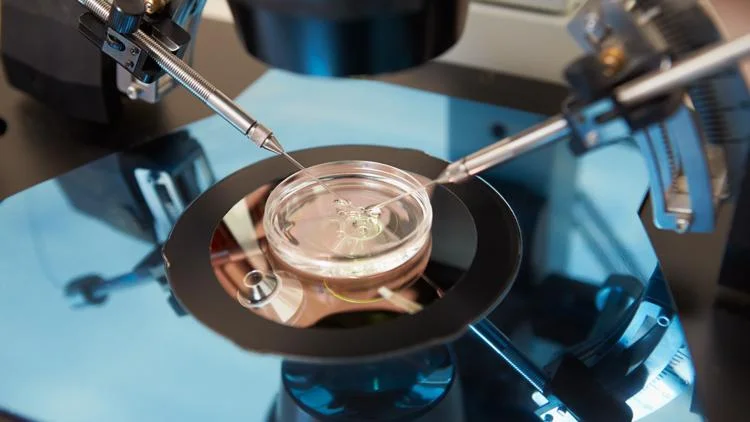 Florida couple will keep custody of child after IVF mix-up