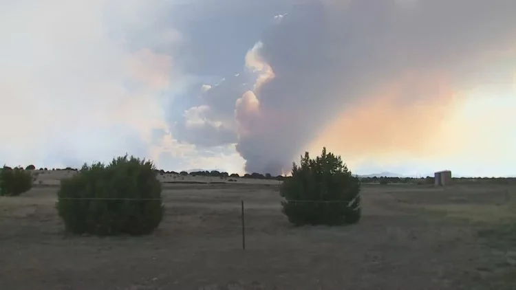'Panic like no other': Beulah family evacuates as Aspen...