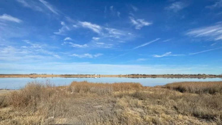 Public fish salvage at 2 Colorado reservoirs near Lamar...