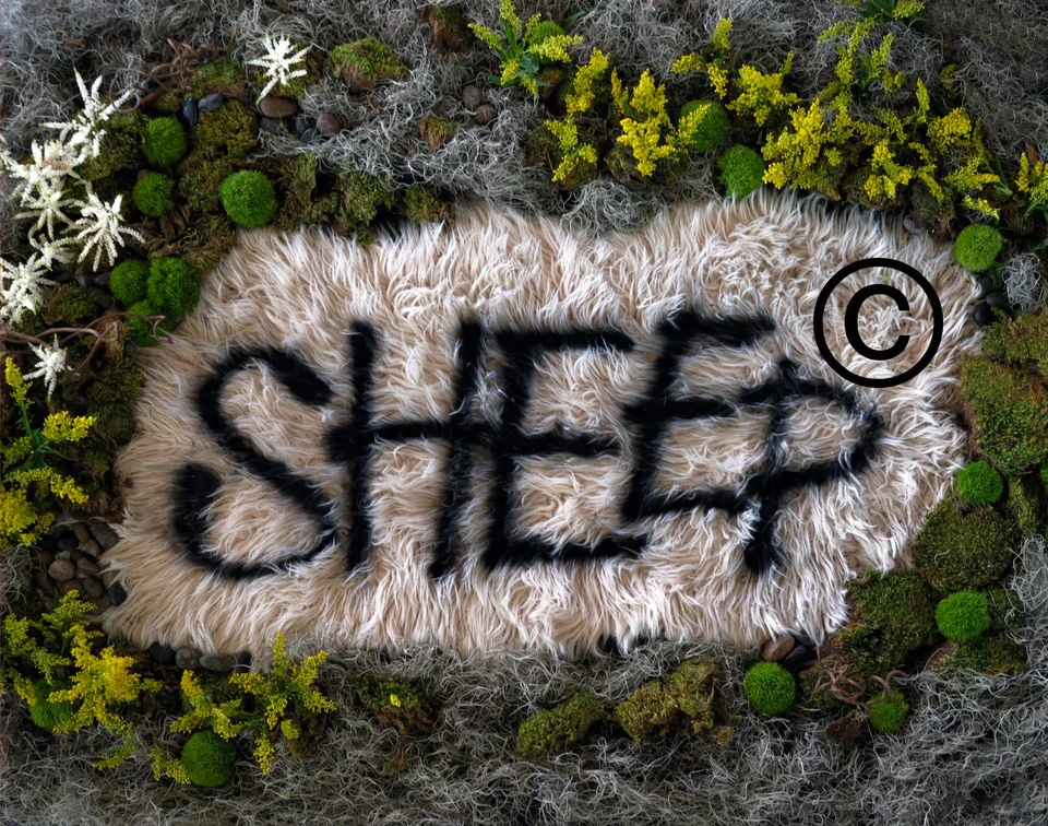 Get a taste of the Wolf’s Tailor at Sheep, coming soon...