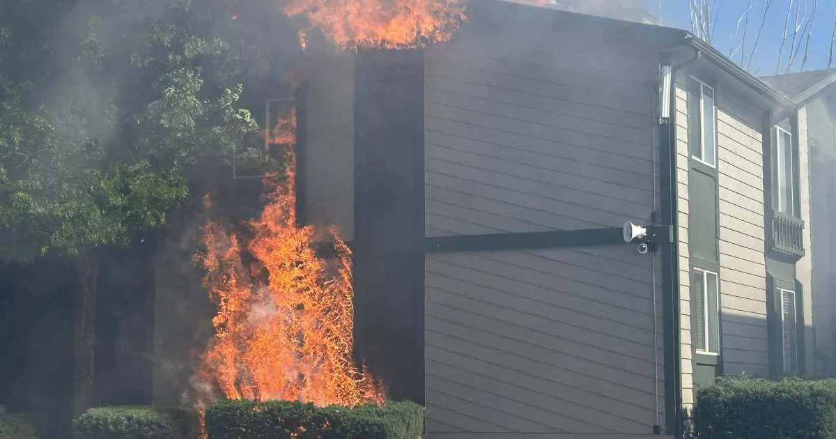 Rifle fire that left apartment building destroyed was...