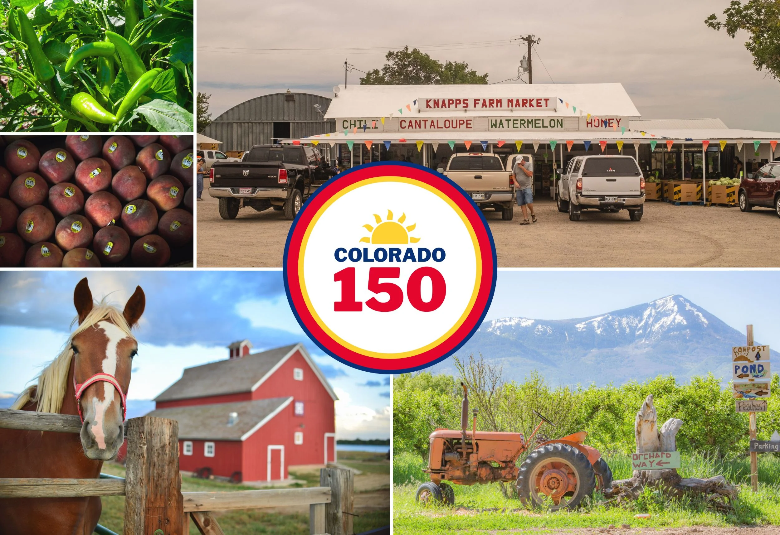 10 farms, ranches and markets that help shape Colorado’s...