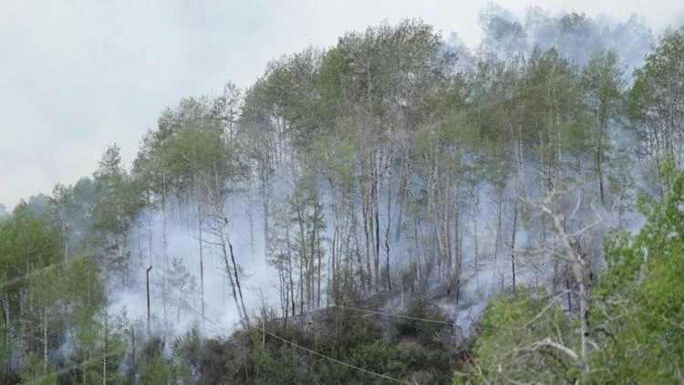 Firefighters work for a second day to contain a wildfire...