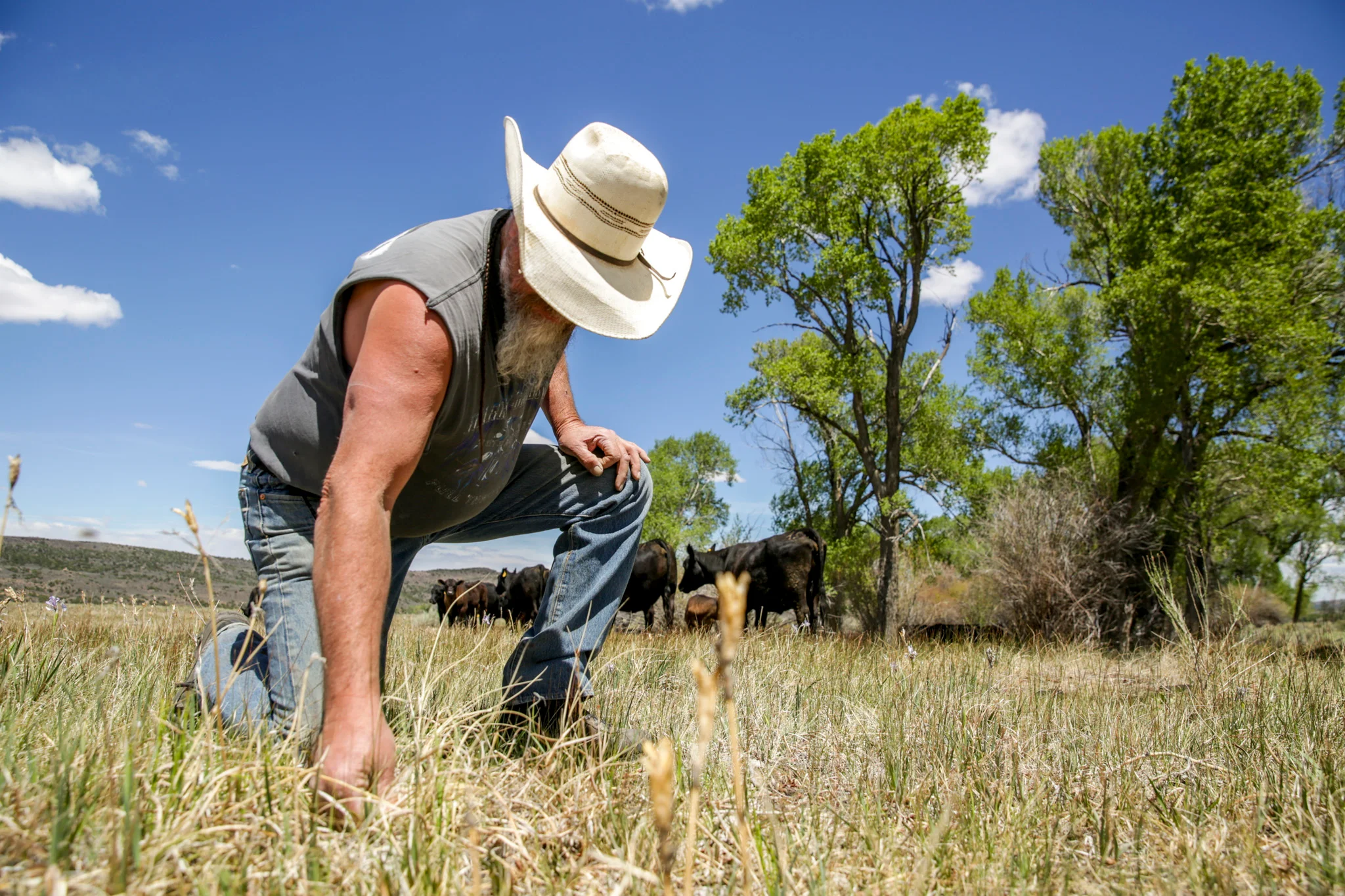 As drought deepens, a Colorado ranching family prays for...