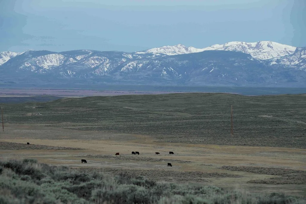 Colorado officials call for more state actions to combat...